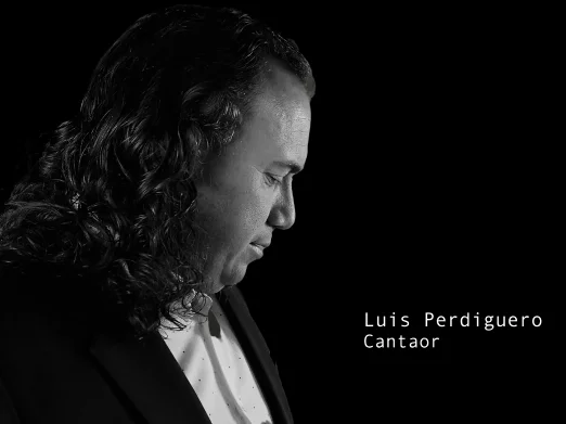 luis perdigero